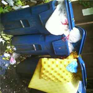 Rubella - Phil's Wall Of Recycling flac