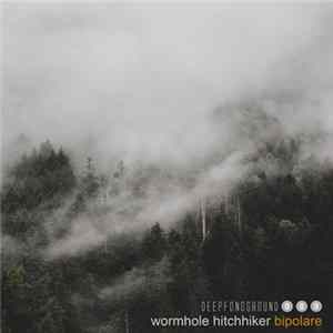 Wormhole Hitchhiker - Bipolare flac