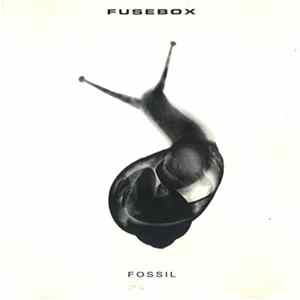 Fusebox - Fossil flac