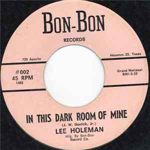 Lee Holeman - In This Dark Room Of Mine flac