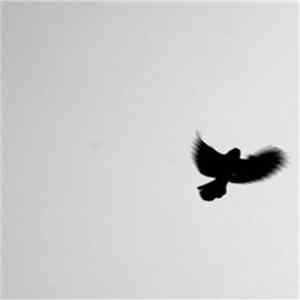 Nathan McLaughlin - Echolocation #1 flac