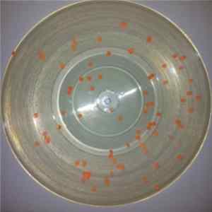 Plant43 - Grey Sky Cracks EP flac