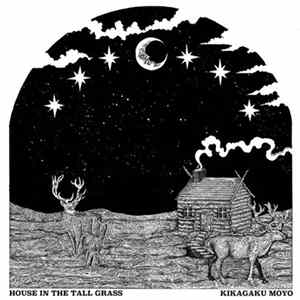 Kikagaku Moyo - House In The Tall Grass flac