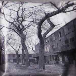 Red Hook - The Light Obstructs Your View flac