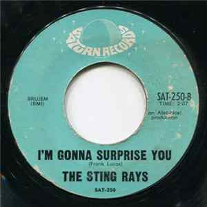 The Sting Rays - Lady Be Good / I'm Gonna Surprise You flac