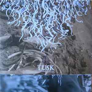 Tusk - The Resisting Dreamer flac