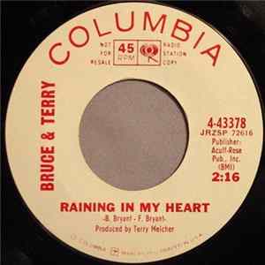Bruce & Terry - Raining In My Heart / Four Strong Winds flac