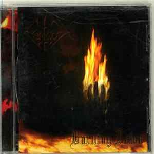 Forgot - Burning Down flac