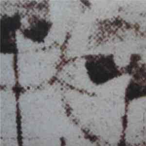 Eliane Radigue - Vice - Versa, Etc. flac