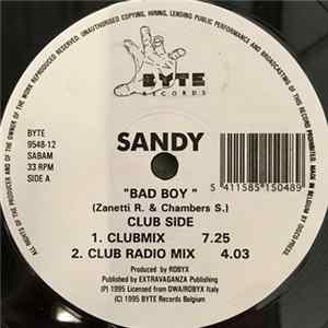 Sandy - Bad Boy flac