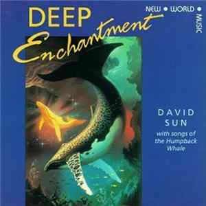 David Sun - Deep Enchantment flac