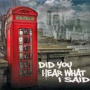 The Peachtree - Did You Hear What I Said flac