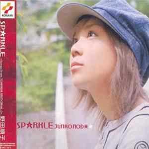 野田順子 - SPARKLE flac