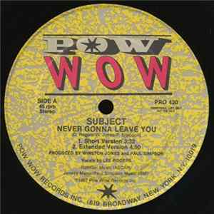 Subject - Never Gonna Leave You flac