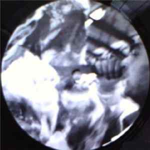C-Rom - C.Rom 001 flac