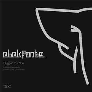 Elekfantz - Diggin' On You flac