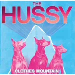 The Hussy - Clothes Mountain flac