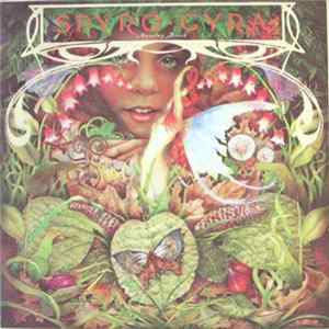 Spyro Gyra - Morning Dance flac