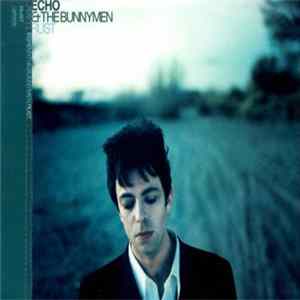 Echo & The Bunnymen - Rust flac