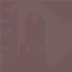 Nosferatu 1922 - CCXVI flac