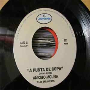 Aniceto Molina Y Los Sabaneros - A Punta De Copa / Mi Cumbia Colombiana flac