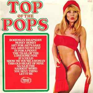 Unknown Artist - Top Of The Pops Vol. 49 flac