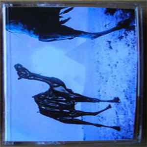 Innercity / Sofie Sea + Billy A.B - The Pyramids Of Northeast Belgium Are Overcrowded With Leprechauns / Earth Dawn Companion flac