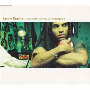 Lenny Kravitz - If You Can't Say No flac
