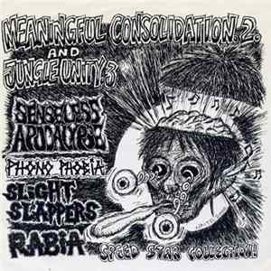 Various - Meaningful Consolidation 2 / Jungle Unity 3 flac