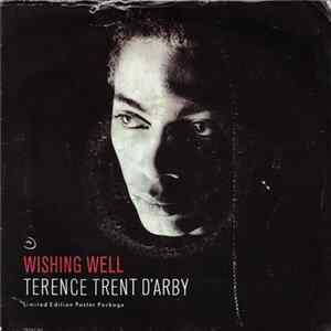 Terence Trent D'Arby - Wishing Well flac