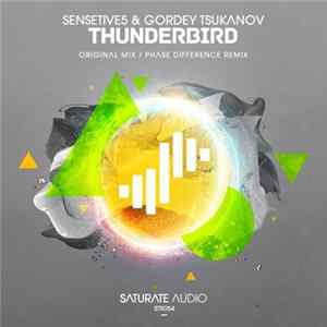 Sensetive5 & Gordey Tsukanov - Thunderbird flac