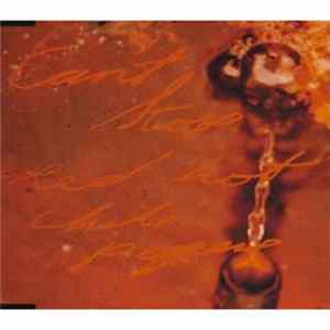 Red Hot Chili Peppers - Can't Stop flac