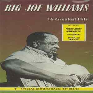 Big Joe Williams - Big Joe Williams - 16 Greatest Hits flac
