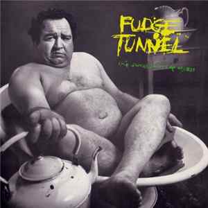 Fudge Tunnel - The Sweet Sound Of Excess flac