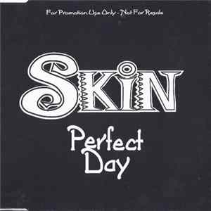 Skin - Perfect Day flac
