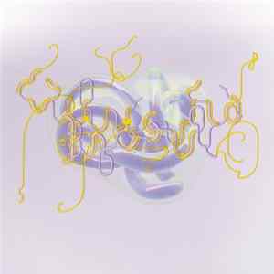 Björk - Family (Bloom's North Mix) flac