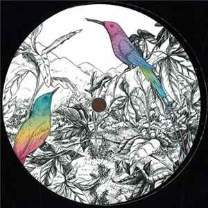 A Vision of Panorama - Two Birds flac