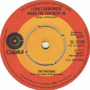 The Fortunes - Secret Love flac