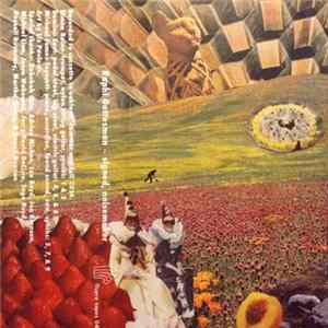 Raphi Gottesman - Signed, Noisemaker flac