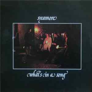 Sycamore - What's In A Song flac
