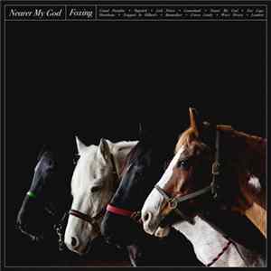 Foxing - Nearer My God flac