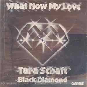 Tara Schaft & Black Diamond - What Now My Love flac
