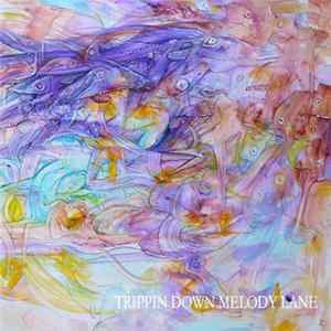 Boxguts, SCVTTERBRVIN - Trippin Down Melody Lane flac