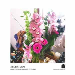 Wicca Phase Springs Eternal - Secret Boy flac