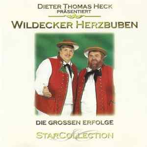 Wildecker Herzbuben - Die Grossen Erfolge flac