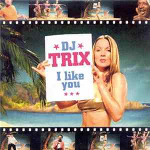 DJ Trix - I Like You flac