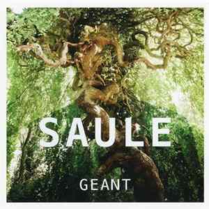 Saule - Géant flac