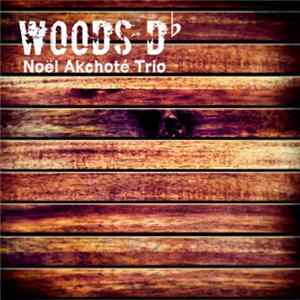 Noël Akchoté Trio - Woods D-Flat flac