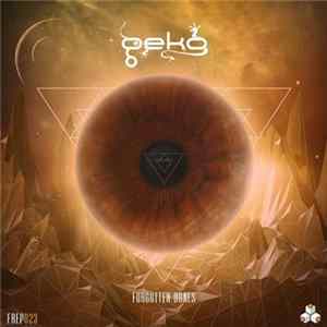 Geko - Forgotten Dunes flac