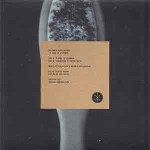 Daijing & Dafeldecker - A Page To A Corner flac